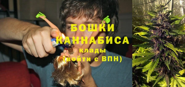 твердый Надым