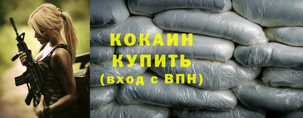 твердый Надым