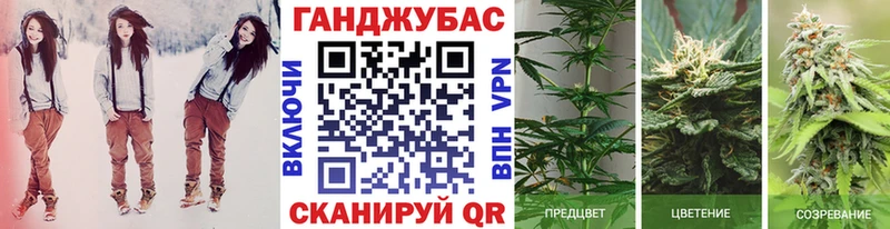 Купить  Кодинск  Каннабис индика 